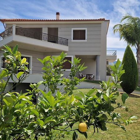 Dimitris Villa Айгио Екстериор снимка